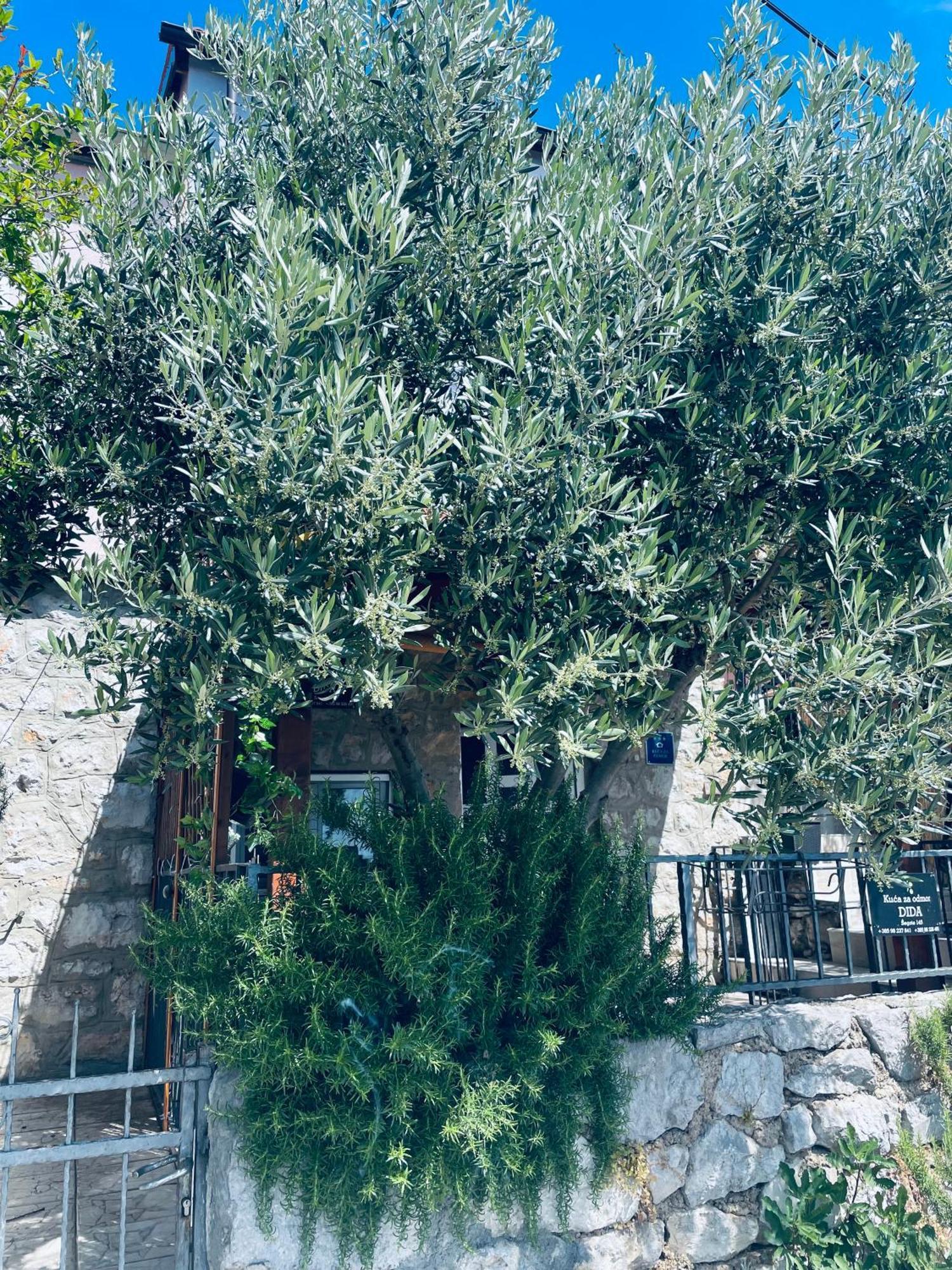 Vila Kuca Za Odmor “Dida” Stinica Exteriér fotografie