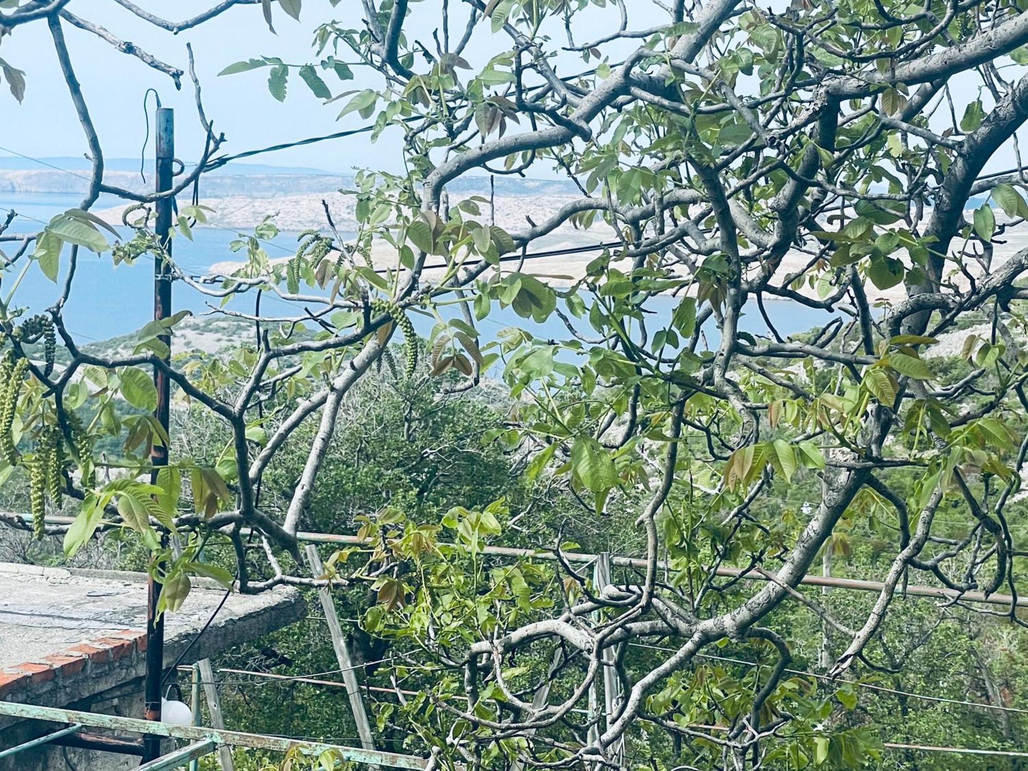 Vila Kuca Za Odmor “Dida” Stinica Exteriér fotografie